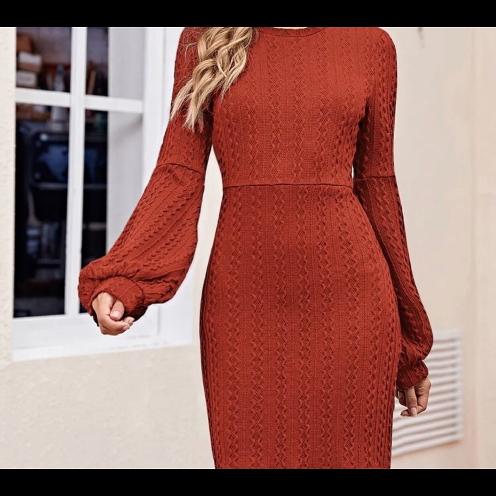 SHEIN lantern sleeve cable knit dress